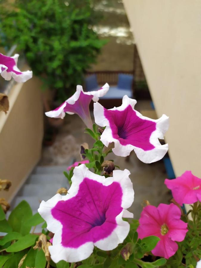 Appartamento A 50 Mt Dal Mare Cala Gonone Exterior photo
