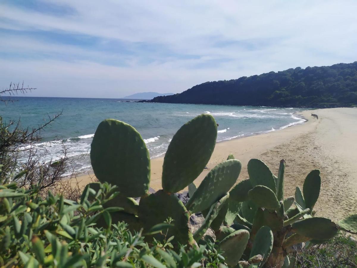 Appartamento A 50 Mt Dal Mare Cala Gonone Exterior photo